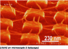 Figure 6 - Formation of carbon nanotubes on silicon studs bearing cobalt particles 