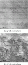 Figure 6 - Transmission electron microscopy micrographs of PA 6 nanocomposites containing 2.5 and 20% montmorillonite