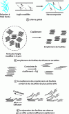 Figure 13 - Diagram showing the production of nanocomposites by melt mixing