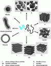 Figure 18 - Polymorphism of copolymers (University of Hamburg)