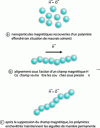 Figure 22 - Formation of colloidal needles