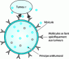Figure 23 - Schematic representation of a colloidal vector (University of Maryland, Complex Nanomaterials Group)
