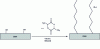 Figure 8 - Ring-opening polymerization (ROP) of L-lactide initiated by hydroxyl groups available on the CNC (CNW) surface [95].