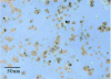 Figure 12 - Nanofluid: copper nanoparticles in ethylene glycol