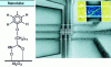 Figure 9 - Field-effect transistor made from functionalized carbon nanotubes 