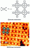 Figure 13 - Covalent self-assembly by polymerization [20].