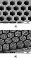 Figure 11 - Nanostructures produced by hot stamping
