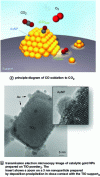 Figure 14 - Mechanism of catalytic oxidation of carbon monoxide by gold nanoparticles [61]