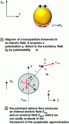 Figure 16 - Diagram and notation for describing the interaction of an electromagnetic wave with a spherical nanoparticle in the context of the quasi-static approximation