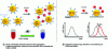 Figure 4 - Principle of diagnostic tests based on localized surface plasmon resonance (LSPR). (a) Visual colorimetric detection. (b) Detection by extinction spectroscopy and monitoring of LSPR band shifts.