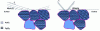 Figure 9 - Diffraction from crystal planes as a function of the X-ray incident angle in a Bragg-Brentano configuration