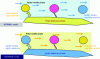 Figure 10 - Schematic representation of the two HPLC operating modes. The double arrows represent solute interactions – stationary phase