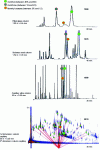 Figure 14 - Progress of gas chromatographic analysis of mint essential oil. Columns used and analysis times are indicated for each chromatogram.
