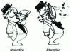 Figure 3 - A humorous view of the difference between absorption and adsorption of a compound by a solid