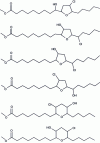 Figure 8 - Cyclic neoformed compounds detected from diepoxides separated by a CH2 group.