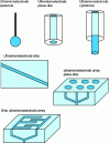 Figure 23 - Different geometries of ultramicroelectrodes