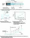 Figure 33 - Example of the application of a modified ultramicroelectrode to NO measurement in biological media (based on [40])