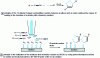Figure 18 - Localized click chemistry reaction by SECM