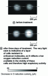 Figure 12 - SECM imaging of cancer cells before and after three days of treatment with an anticancer agent (adapted from [17])