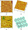 Figure 17 - (a) Wide-plane EC-STM image of a C60/OBOCMC8 array (C60 = fullerene; OBOCMC8 = 5,11,17,23,29,35,41,47-octa-tert-butyl-49,50,51,52,53,54,55,56-octakis(carboxymethoxy) calix[8]arene) on an Au(111) surface. (b) Top view. (c) Height image of the same C60/OBOCMC8 lattice acquired with high-resolution EC-STM. (d) Proposed structural model of the organized C60/OBOCMC8 network. The voltage applied to the gold substrate is 0.6 V vs RHE in an aqueous solution of HCIO4 (0.1 M). Voltage and tunnel current at the tip have values of 140 mV and 1 nA respectively (from [45])