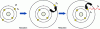 Figure 1 - Fundamental Physical Principles of Atomic Absorption Spectrometry