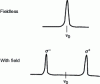 Figure 19 - Correction for the longitudinal Zeeman effect