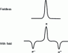 Figure 22 - Correction using the transverse Zeeman effect