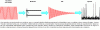 Figure 1 - Schematic diagram of a Fourier
transform microwave pulse spectrometer