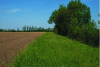 Figure 10 - Grass strip bordering a cultivated plot (Photo: © INRAE/NICOLAS Bertrand)