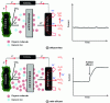 Figure 3 - Schematic diagram of a microbial fuel cell and the current produced