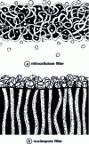 Figure 9 - Nitrocellulose filter and Nuclepore filter
