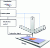 Figure 1 - Schematic diagram of a local probe microscope