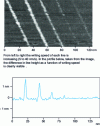 Figure 10 - Example of nanoscale lithography. Ge lines obtained by decomposition under the germanium tip (GeH4) on a Si substrate (source: D. Albertini – GPEC, Marseille)