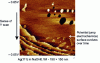 Figure 11 - EC-STM image of an Ag(111) surface in an aqueous NaOH solution. In 100 seconds, the tip scanned the surface from top to bottom while the electrochemical potential of the working electrode varied from – 0.65 V/ESH (top of image) to – 0.05 V/ESH (bottom of image), with the scanning direction indicated by the black arrow. At the electrochemical potential jump, the creation of islands on the surface can be observed (source: L.H. Klein – IRCP, Paris).