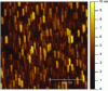 Figure 32 - Image of a surface of gold grains 20 nm in diameter. The tip is broken and shows the grains as elongated rods of the same size and orientation.