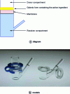 Figure 8 - Franz's cell