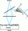 Figure 9 - Confocal microscopy with chromatic coding