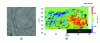 Figure 10 - a) Example of experimental hologram after normalization (removal of the mean component), b) 2D projections of the 3D velocity vector field obtained by superimposing 100 in-phase holograms over the same wave period (the color scale indicates the norm of the axial velocity).