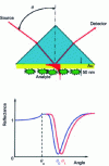 Figure 4 - Operating principle of the Kretschmann prism