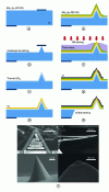 Figure 11 - Optimization of Berkeley nanoprobe microfabrication steps (Credit Kim et al.)
