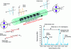 Figure 20 - Dynamic network and Brillouin effect in a [110] birefringent fiber [110]