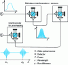 Figure 29 - Principle of coherence multiplexing (white-light interferometry)