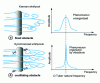 Figure 23 - Synchronization of vortices by tube vibrations