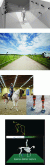 Figure 22 - The principle of motion capture and its application to the horse's gallop (source: Qualisys)