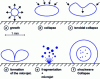 Figure 6 - Phases in the evolution of a cavitation bubble near a surface