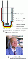 Figure 1 - The Clark electrode