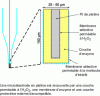 Figure 14 - Schematic representation of a microbiosensor used for in vivo neurotransmitter detection