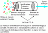 Figure 2 - Principle of analyte detection by a biosensor