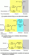 Figure 6 - How glucose biosensors work