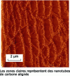 Figure 19 - AFM image (low resolution) of SWNT on a silicon wafer